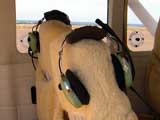 ʣƥͥ(Cessna208Stationair) إåɥå
